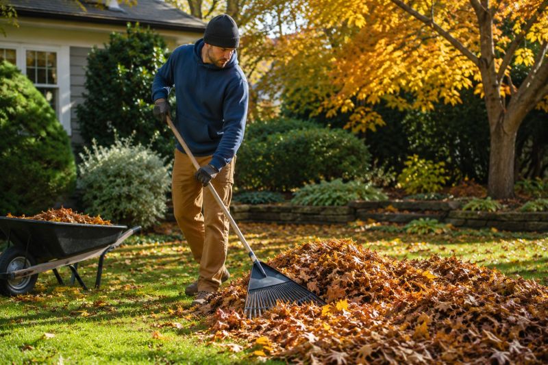 Autumn Leaf Removal in Ventura County, CA