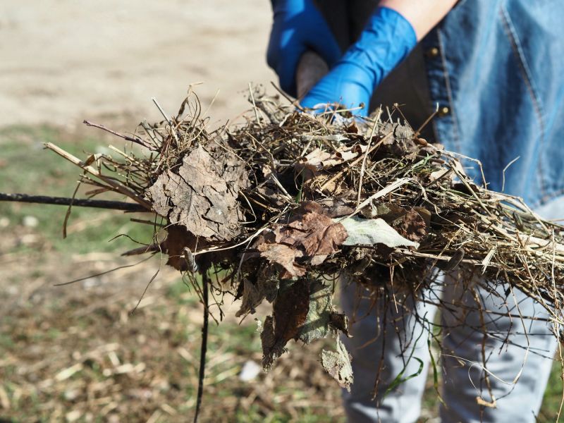 Brush Cleaning Service in Ventura County, CA