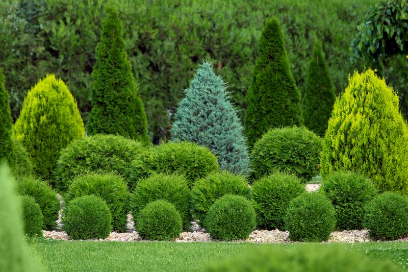 Bush Relocation in Ventura County, CA