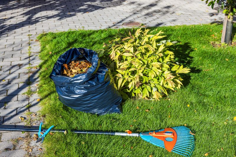 Commercial Leaf Removal in Honolulu, HI