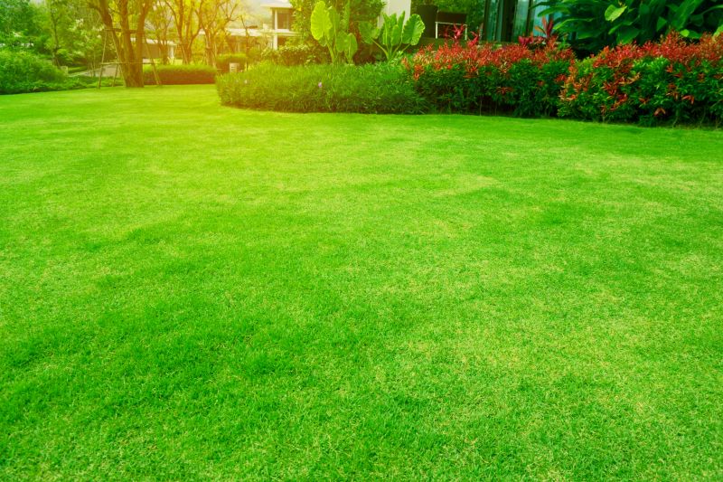 Healthy Lawn Benefits
